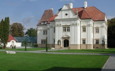 Felsőbüki Nagy (Szapáry) Mansion