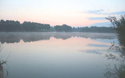 Fishing lake in Ölbő