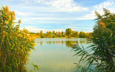 Fish-Farm fishing lake, Zsennye